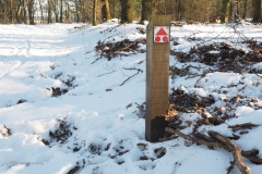 paal#(20210213) diversen