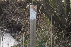 paal#(20210220) diversen