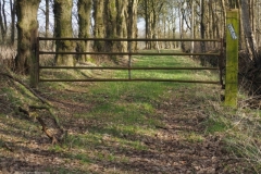 hekwerk#(20220223)a diversen