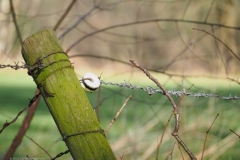 paal#(20220223) diversen