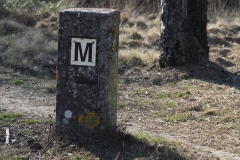 paal#(20210302) diversen