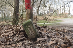 paal#(20230313)a diversen