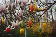 paasei#(20240314)d diversen