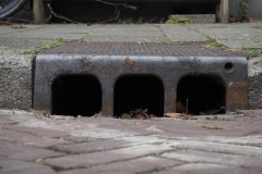 kolk#(20210321)b diversen