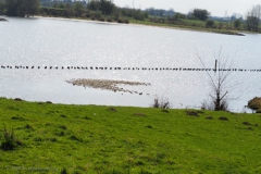 paal#(20250329) diversen