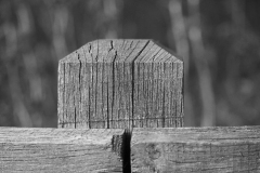 paal#(20200421) diversen