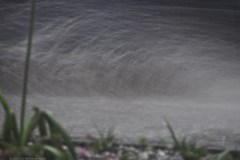 watergolf#(20240502) diversen