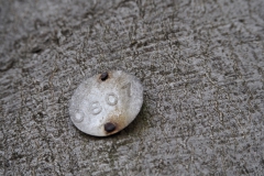 nummer#(20210510) diversen