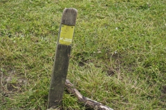 paal#(20240614) diversen
