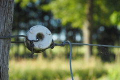 isolator#(20240619) diversen