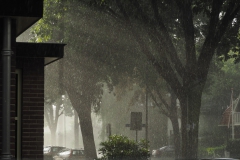 regendruppels#(20200708) diversen