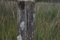 paal#(20240715)b diversen