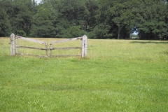 hekwerk#(20210729) diversen