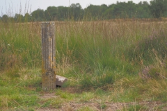 paal#(20210803) diversen