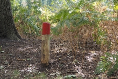 paal#(20200905)b diversen