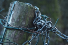 paal#(20200910) diversen