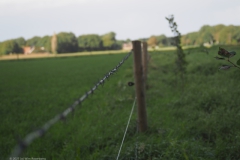 paal#(20231014)a diversen