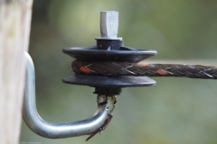 schrikdraad#(20221021) diversen