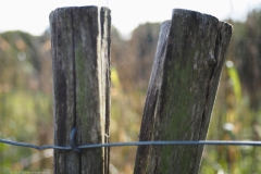 paal#(20231022) diversen