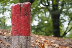 paal#(20181024) diversen