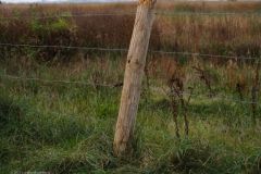 paal#(20231026) diversen