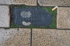 peilbuis#(20231110) diversen