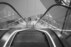trap#(20231110)a diversen