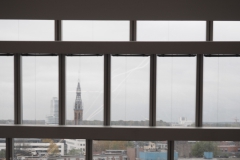 forum#(20231110)c diversen