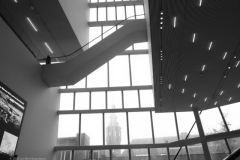 trap#(20231110)b diversen