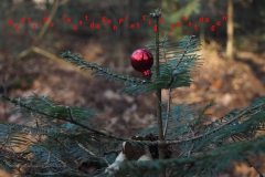 prettige feestdagen