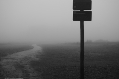 paal#(20231130) diversen