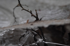 takje#(20231202) diversen