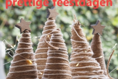 kerstboom#(20221206) diversen