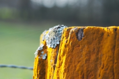 paal#(20211210)ab diversen