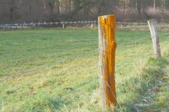 paal#(20211210)a diversen