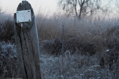 paal#(20221214) diversen