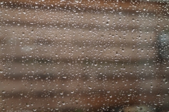 regendruppels#(20211228)a diversen