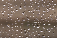 regendruppels#(20211228)aa diversen