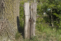 paal#(20190415) diversen