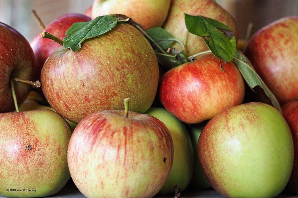 02_fruit_44421485272_l