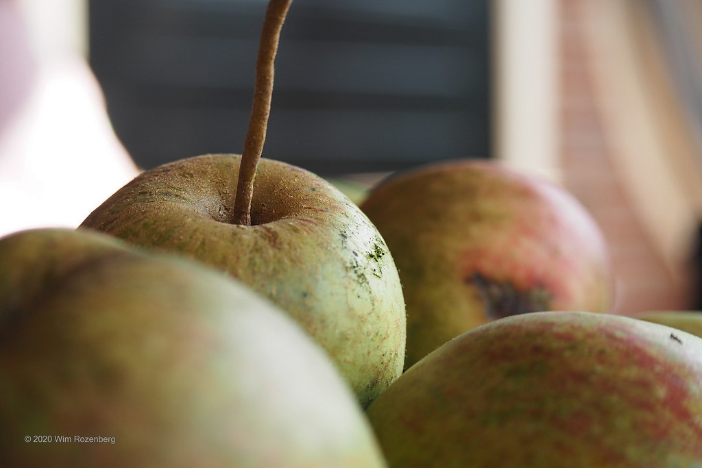 10_appels_50349064582_l