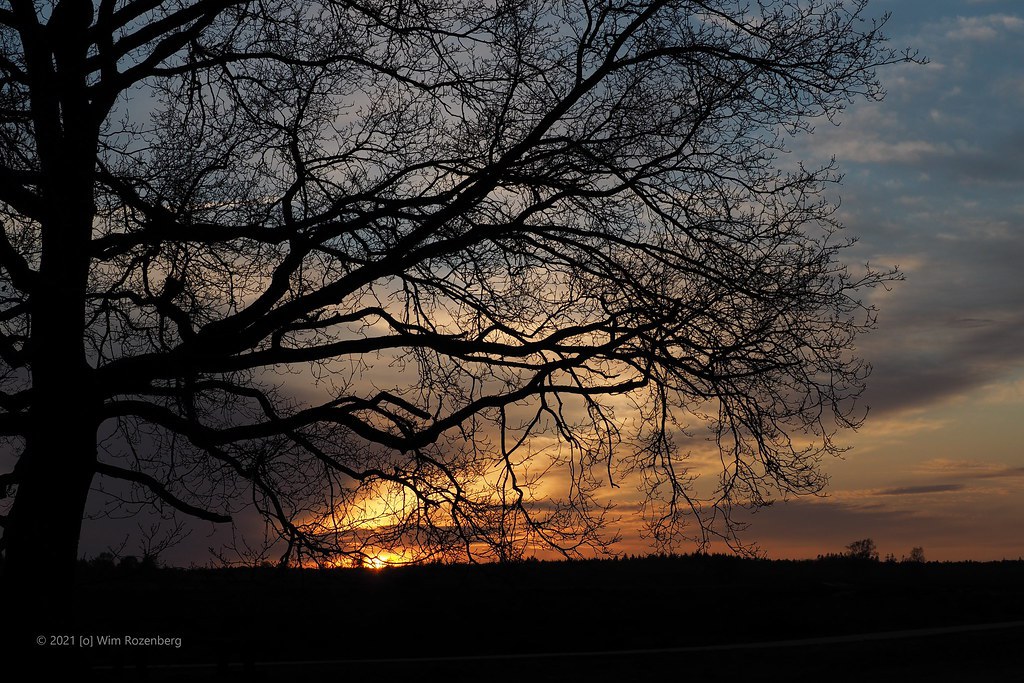 19_sunset-ginkelse-heide_51142979610_l