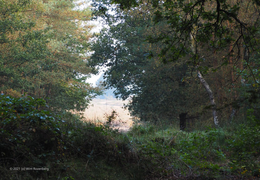 26_doorkijk-of-_51591572122_l