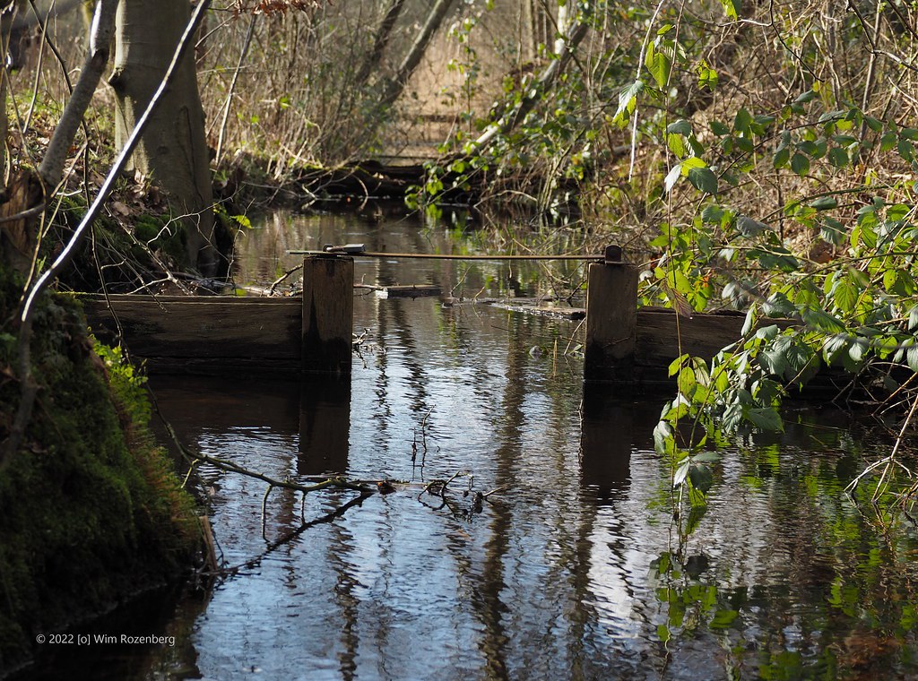 32_stuw-kreelse-plas_51902131674_l