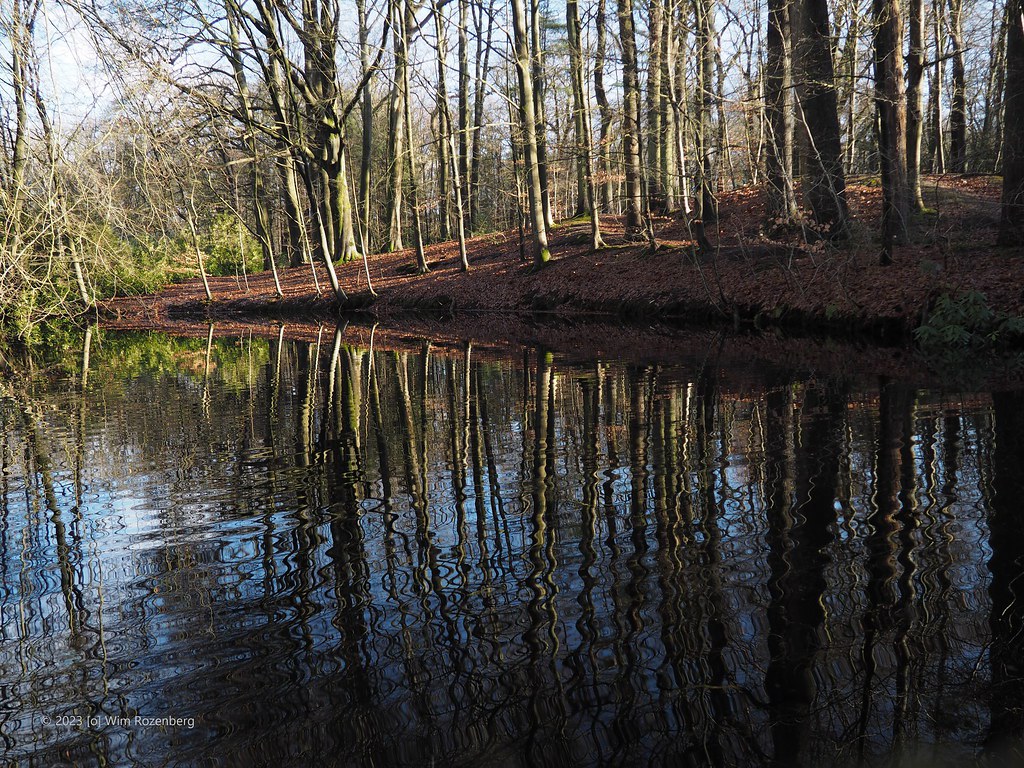 40_spiegeling001_52633727785_l
