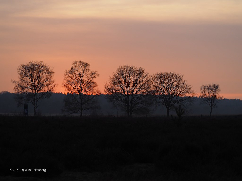 41_sunset-nieuw-reemst_52693350863_l