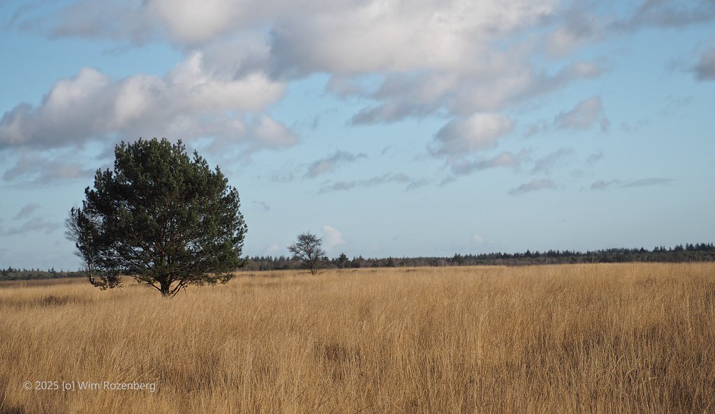 60_ginkelse-heide_54242214506_l