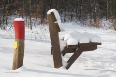 16_zitbank_50926840412_l