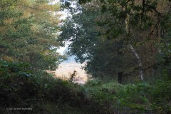 26_doorkijk-of-_51591572122_l