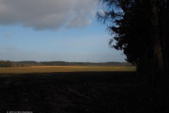 31_akkers-en-bosrand_51852994235_l